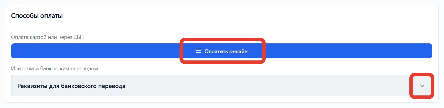 Способы оплаты: онлайн картой и банковский перевод